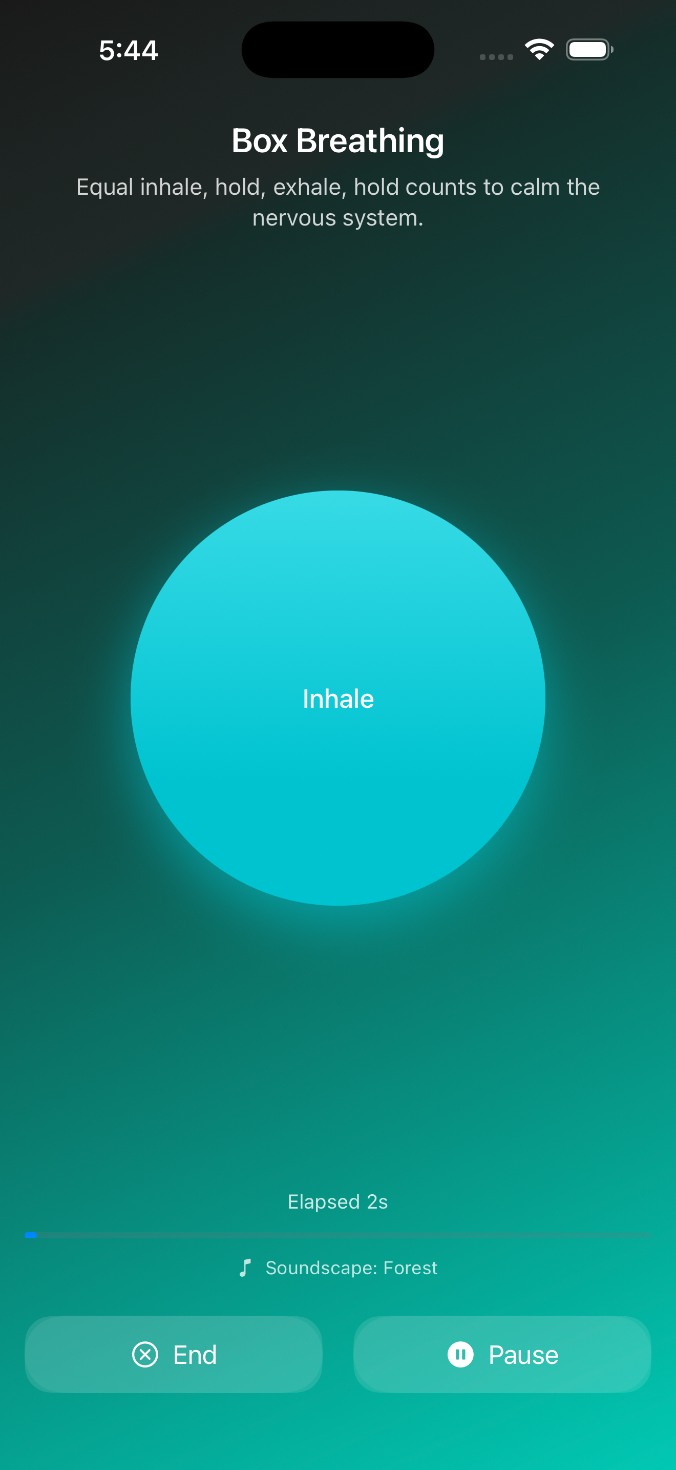 Mindponea box breathing screen